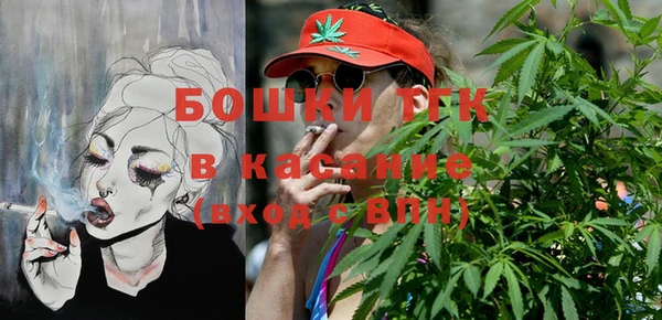 индика Киреевск