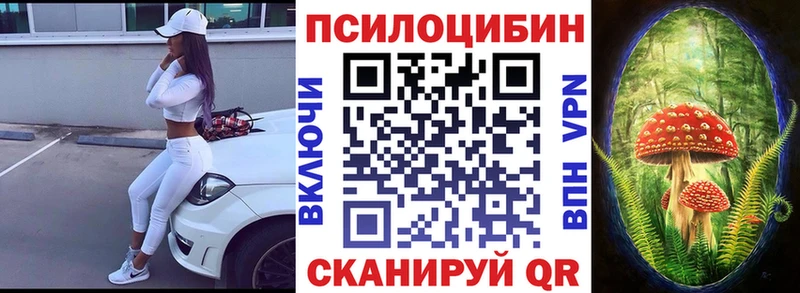 blacksprut зеркало  Козловка  Галлюциногенные грибы Cubensis  наркотики 