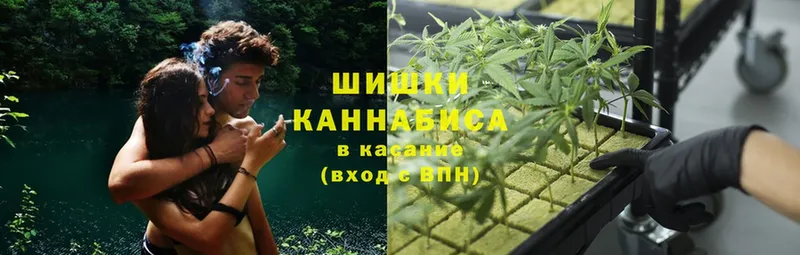 omg вход  Козловка  Бошки марихуана Ganja 